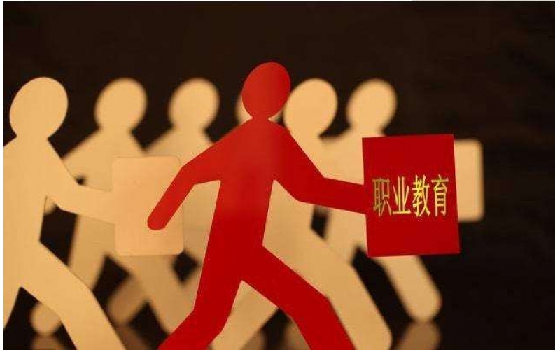 職教專家：發(fā)展適應產業(yè)需求的多樣化職業(yè)教育模式